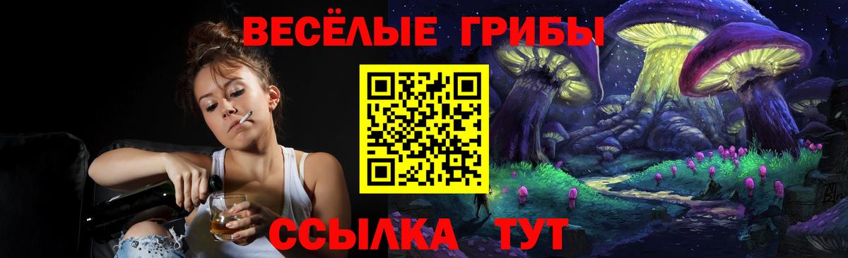 Псилоцибиновые грибы прущие грибы  Вход с VPN  наркотики  Кубинка 